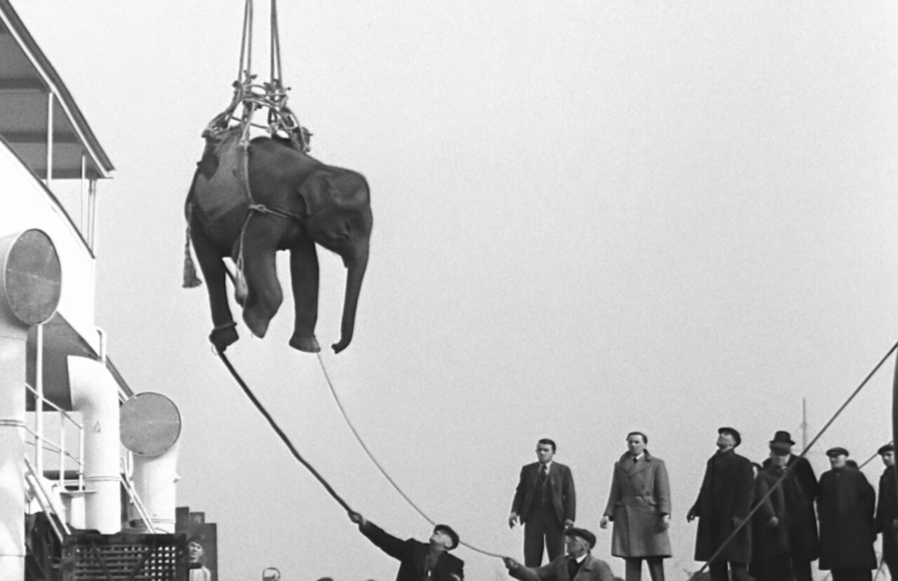 2024_Soundtrack to a Coup d’Etat_Johan Grimonprez_Elephant Cargo © British Pathé