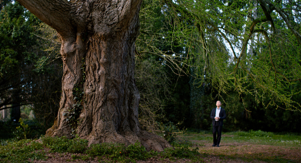 Csendes_barat_1_Mozinet_vegleges_2.4.2_2.4.2