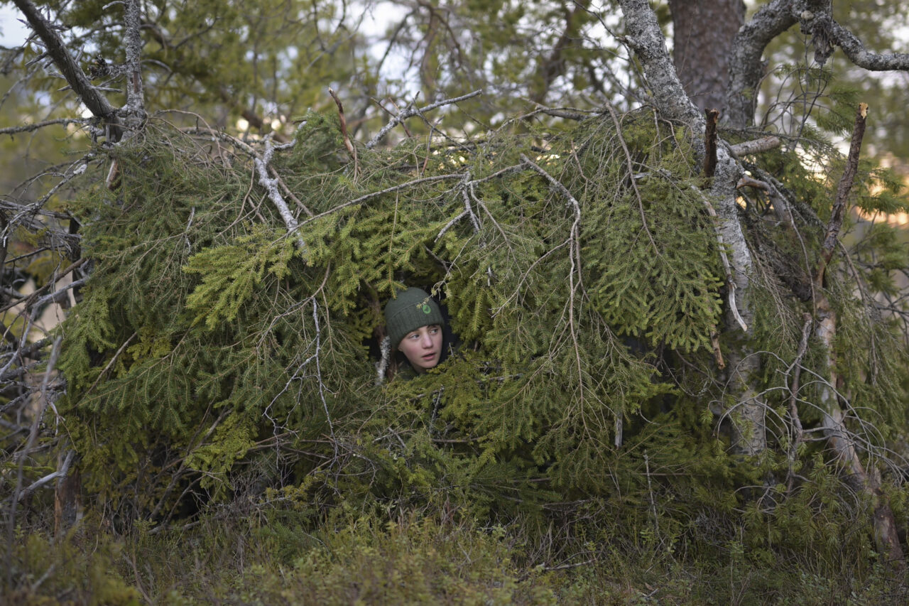 LeChantDesForets_VincentMunier8