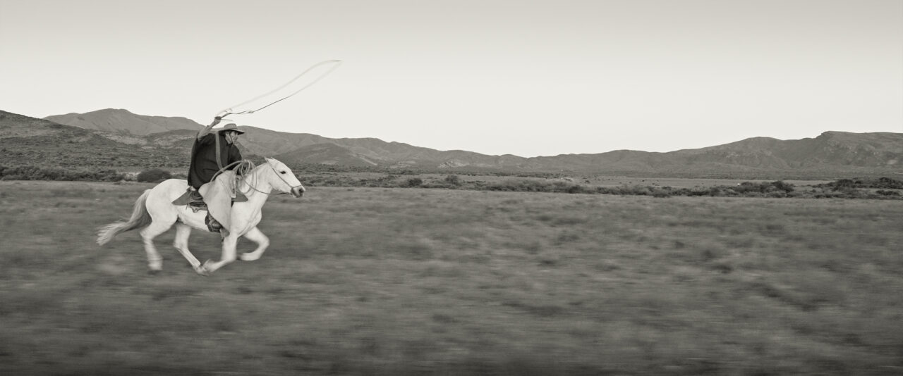 MD_Gaucho_1-106_1-106-1_VOG_File