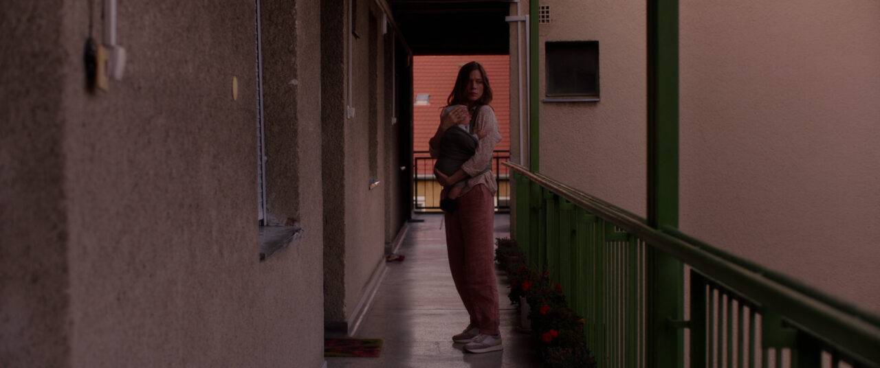 VLF_sRGB_Still_00177607