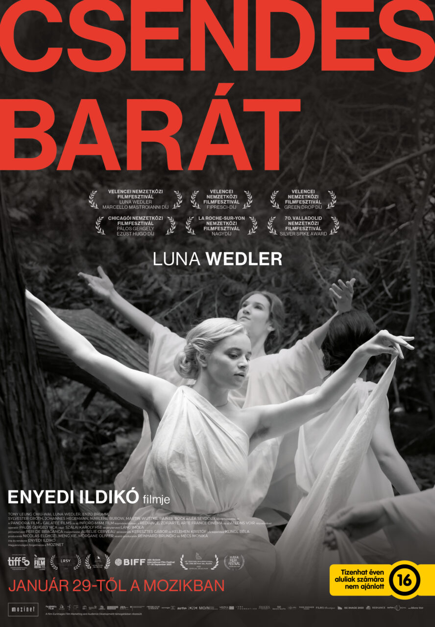 csendes_barat_GRETE_B1