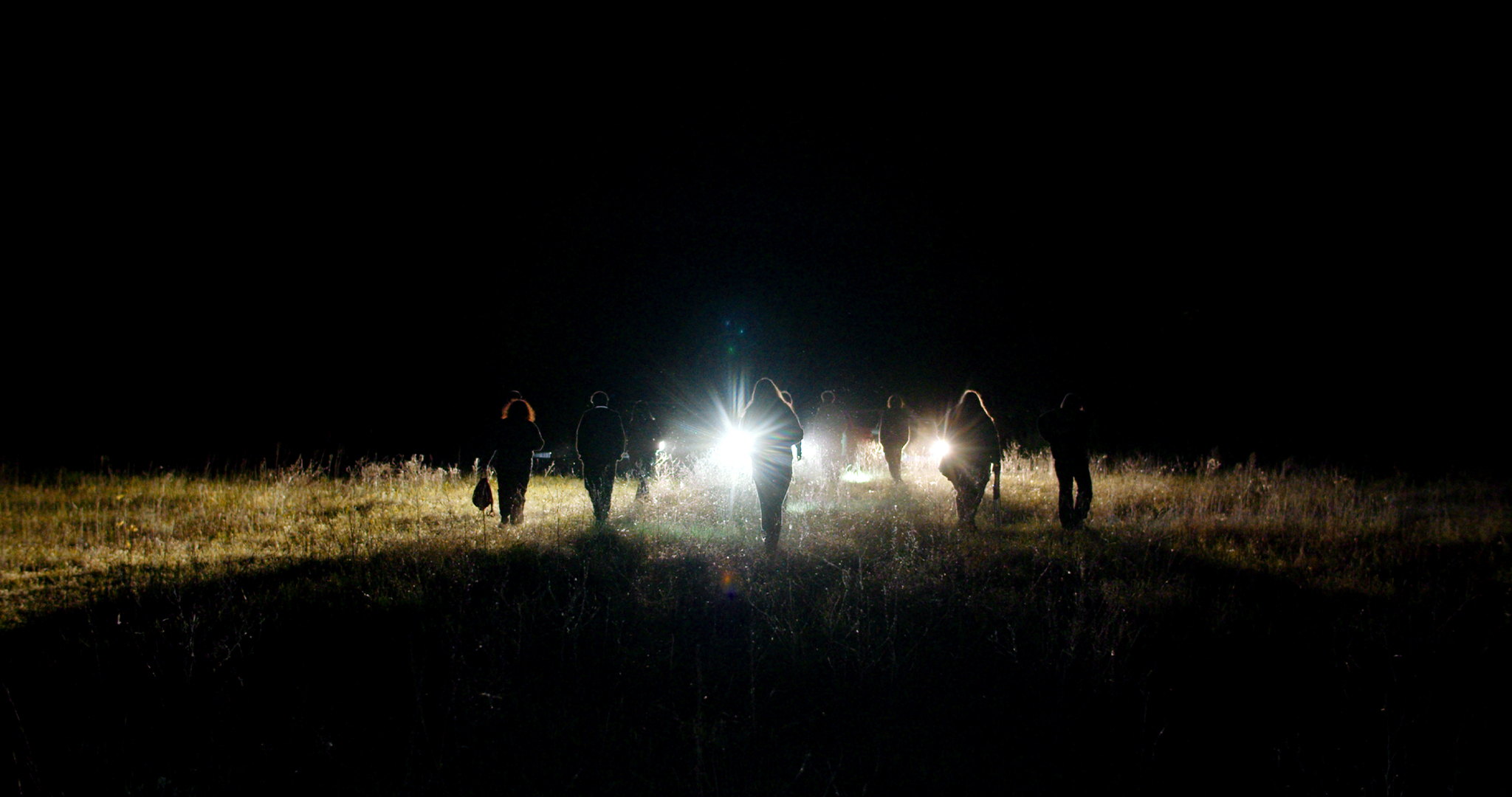 jimmy_jaguar_still_08